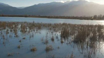 Akşehir Gölü Yıllar Sonra Yeniden Canlandı: Yağışlar Umut Oldu
