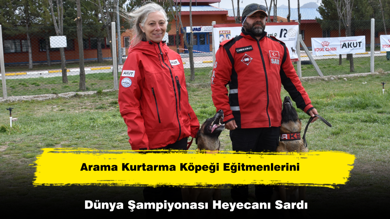 Arama Kurtarma Köpeği Eğitmenlerini Dünya Şampiyonası Heyecanı Sardı