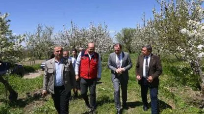 Dikimi Yapılan Böğürtlen Alım Garantili!