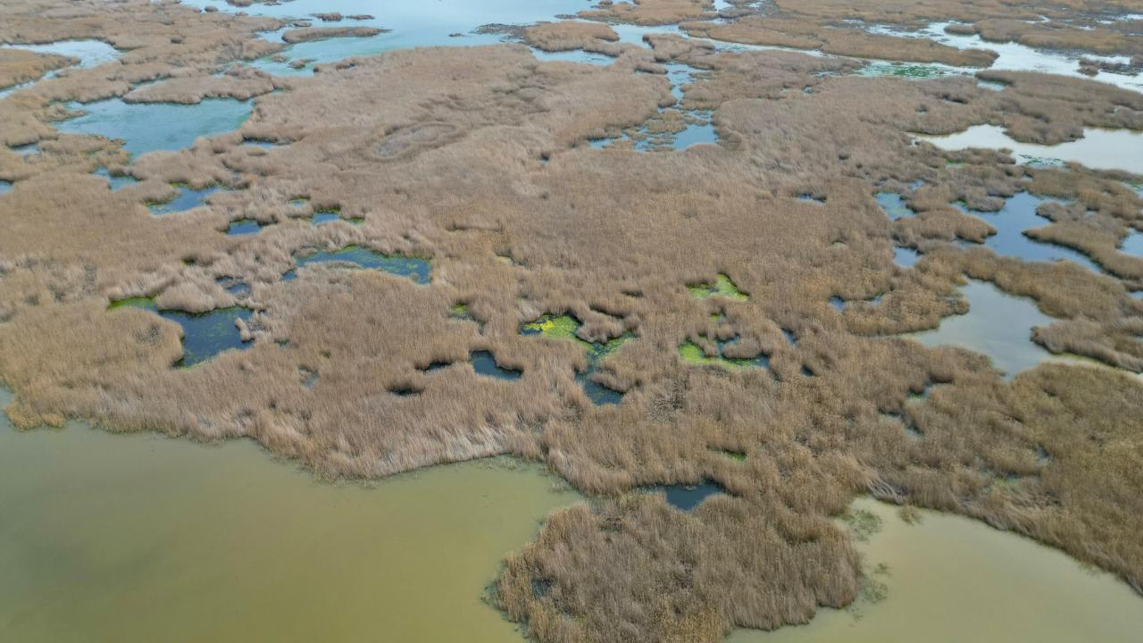 Eber Gölü'nde Su Seviyesi Gözle Görülür Şekilde Arttı