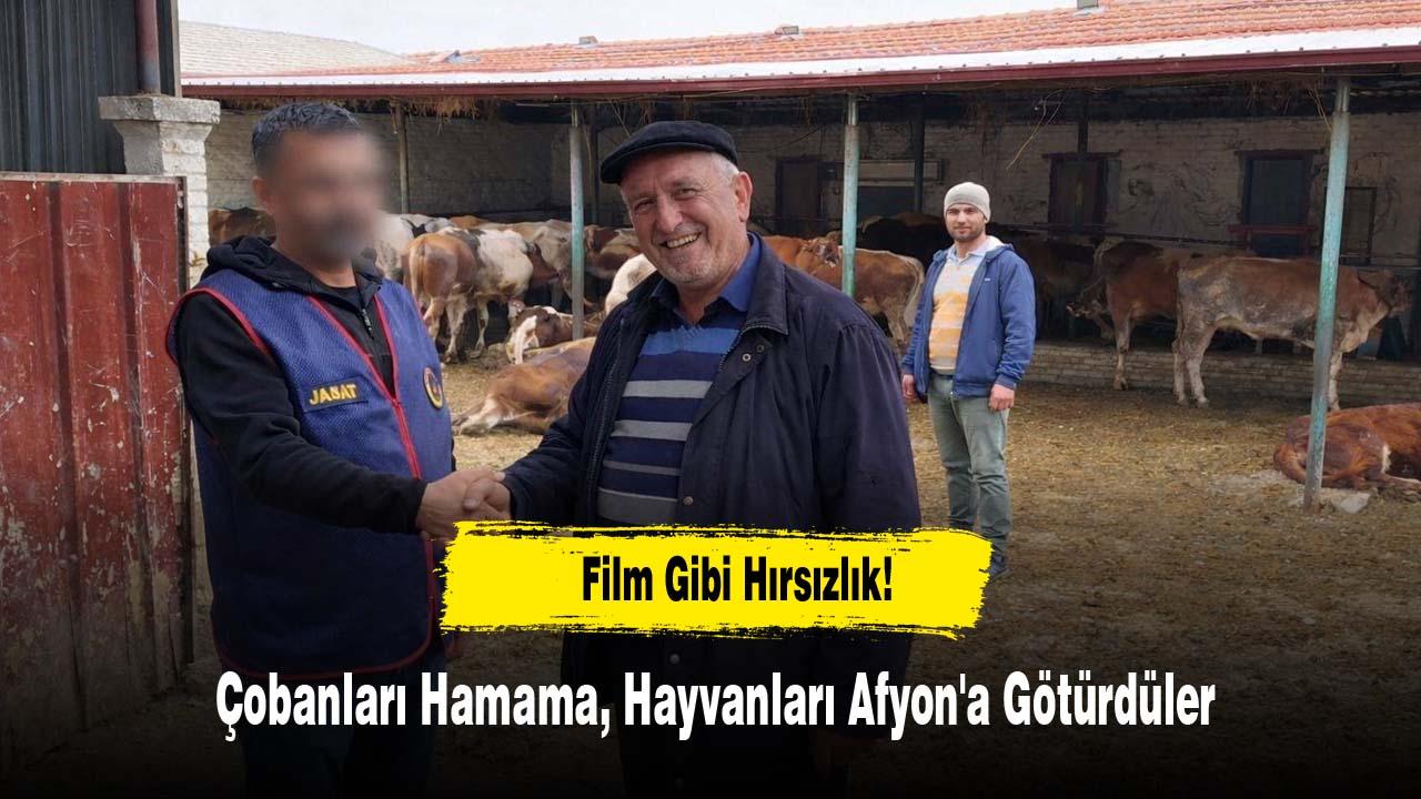 Film Gibi Hırsızlık! Çobanları Hamama, Hayvanları Afyon'a Götürdüler