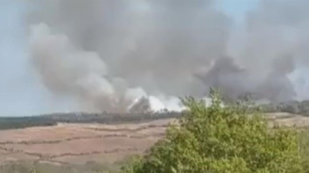 İstanbul Beykoz’da Orman Yangını: Ekipler Seferber Oldu, Alevler Kontrol Altına Alındı