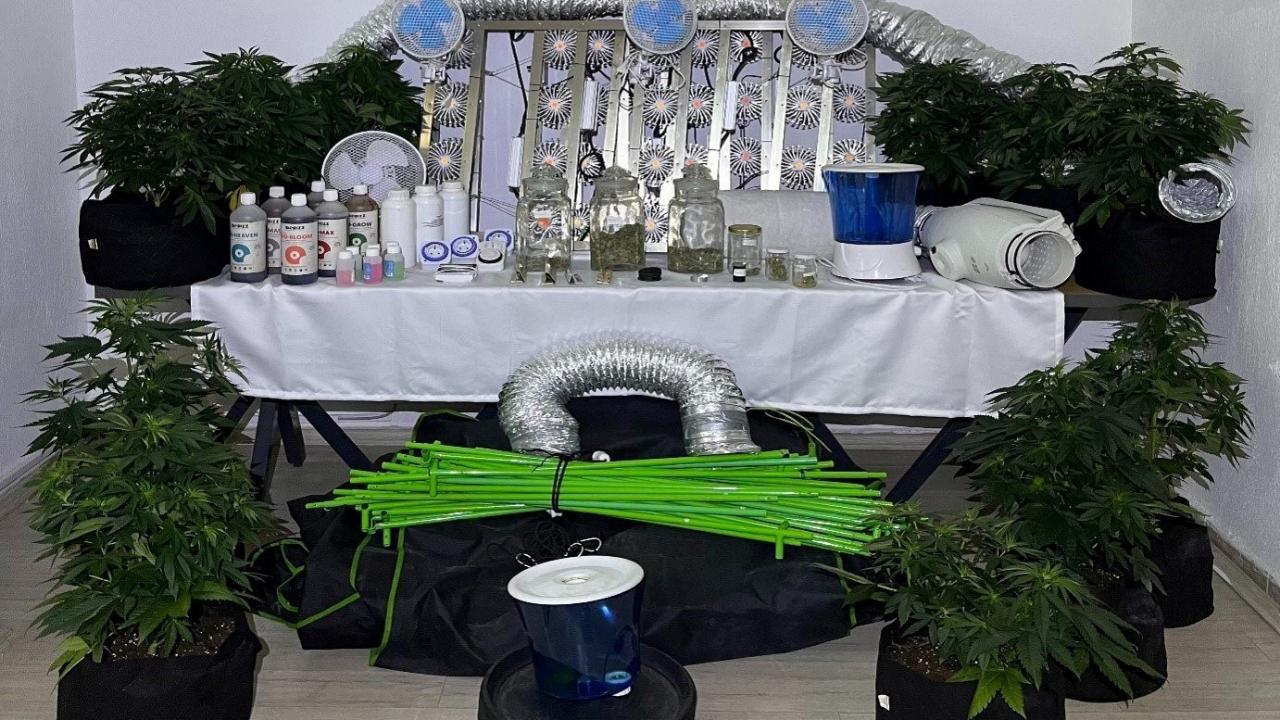 Jandarmasından zehir tacirlerine Mart ayı darbesi: 173 gözaltı