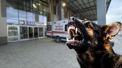 Köpek Saldırısında Hayatını Kaybeden 5 Yaşındaki Hamza Son Yolculuğuna Uğurlandı