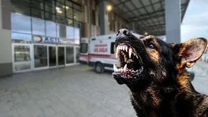 Köpek Saldırısında Hayatını Kaybeden 5 Yaşındaki Hamza Son Yolculuğuna Uğurlandı