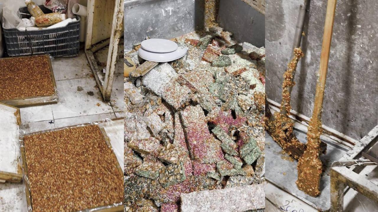 Mide Bulandıran Görüntüler! Kötü Koku Üzerine Girilen Evde Gerçek Ortaya Çıktı