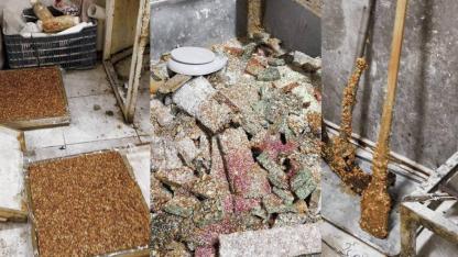 Mide Bulandıran Görüntüler! Kötü Koku Üzerine Girilen Evde Gerçek Ortaya Çıktı