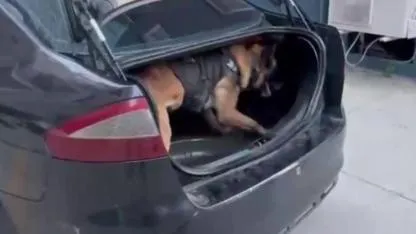 Müzik Kutusundan Zehir Çıktı!