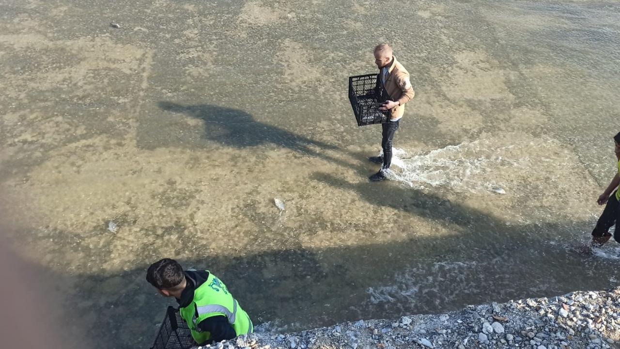 Örenler Barajı Bereket Saçtı: Ellerinde Çuvallarla Balık Kuyruğuna Girdiler