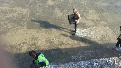 Örenler Barajı Bereket Saçtı: Ellerinde Çuvallarla Balık Kuyruğuna Girdiler