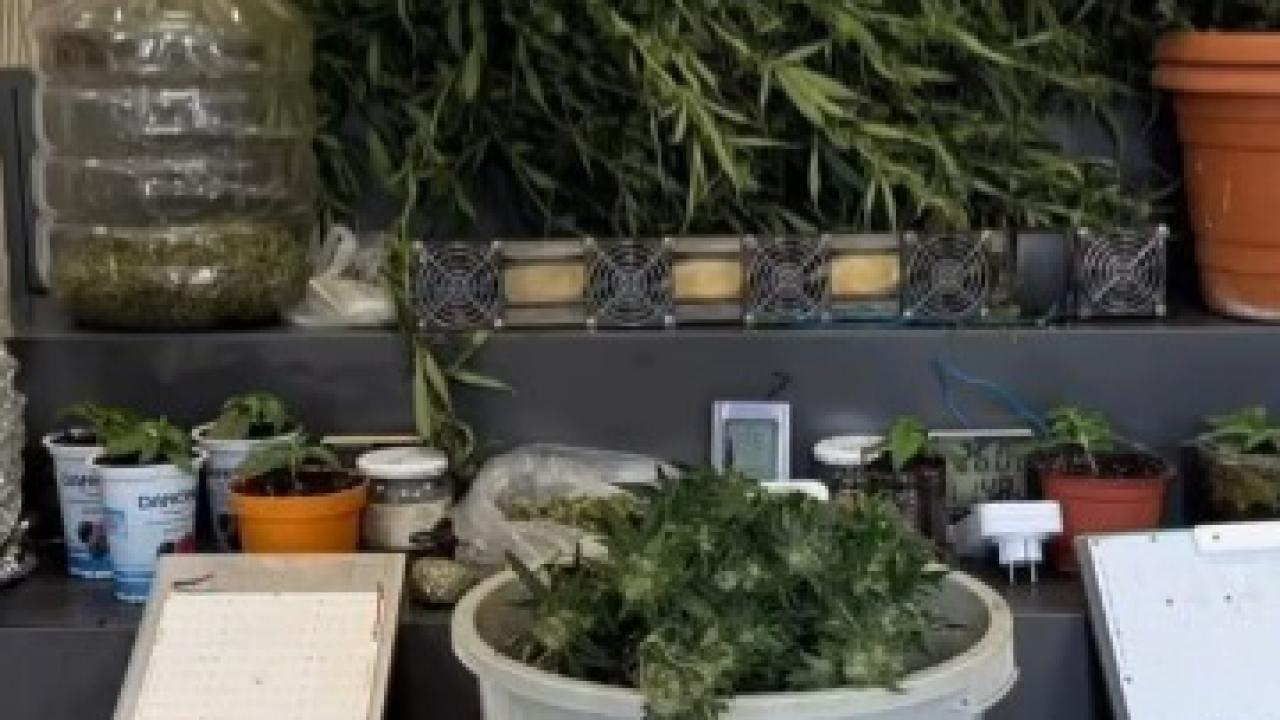 Polis Ekipleri Zehir Tacirlerine Göz Açtırmıyor: 28 Tutuklama