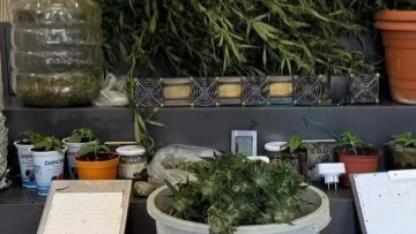 Polis Ekipleri Zehir Tacirlerine Göz Açtırmıyor: 28 Tutuklama