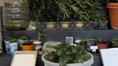 Polis Ekipleri Zehir Tacirlerine Göz Açtırmıyor: 28 Tutuklama