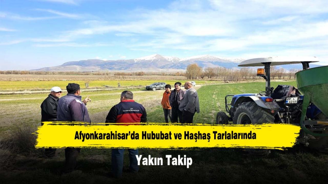 Afyonkarahisar’da Hububat ve Haşhaş Tarlalarında Yakın Takip