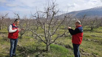 Afyonkarahisar’da Meyve Ağaçlarında Hastalık-Zararlı Kontrolleri Devam Ediyor
