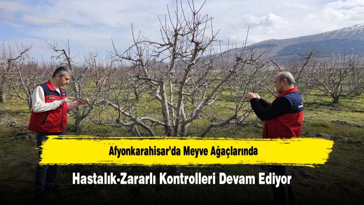 Afyonkarahisar’da Meyve Ağaçlarında Hastalık-Zararlı Kontrolleri Devam Ediyor