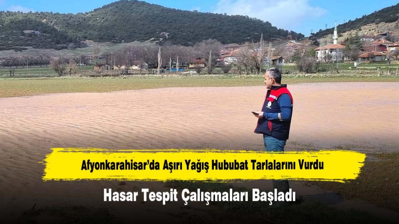 Afyonkarahisar’da Aşırı Yağış Hububat Tarlalarını Vurdu: Hasar Tespit Çalışmaları Başladı
