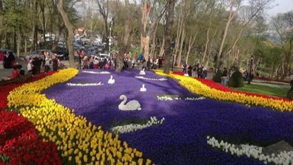 İstanbul Lale Festivali 2026 Ne Zaman, Nerede Yapılıyor? Tüm Detaylar!