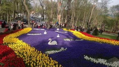 İstanbul Lale Festivali 2026 Ne Zaman, Nerede Yapılıyor? Tüm Detaylar!