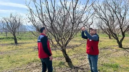 Afyonkarahisar İl Tarım ve Orman Müdürlüğü Zirai Don Sonrası Sahada