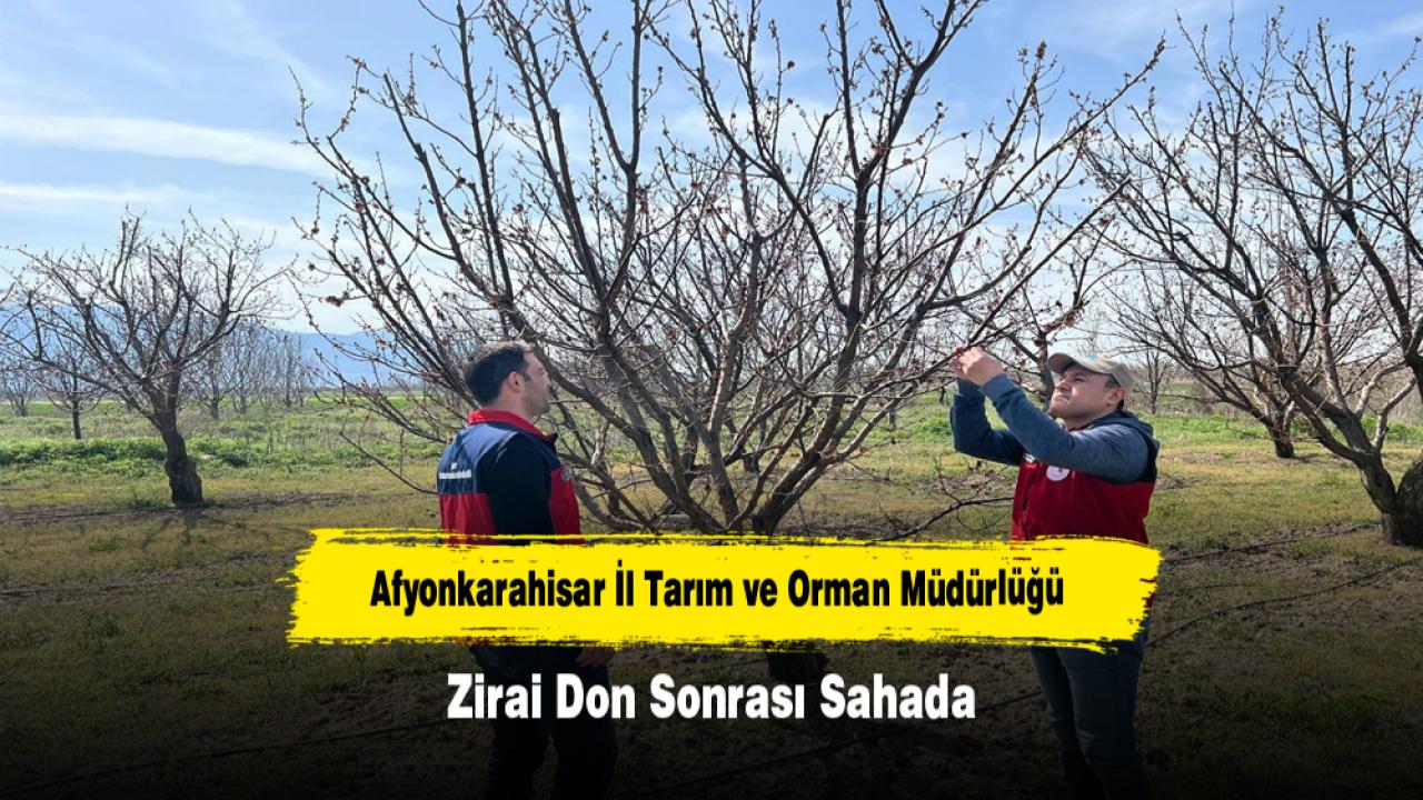 Afyonkarahisar İl Tarım ve Orman Müdürlüğü Zirai Don Sonrası Sahada