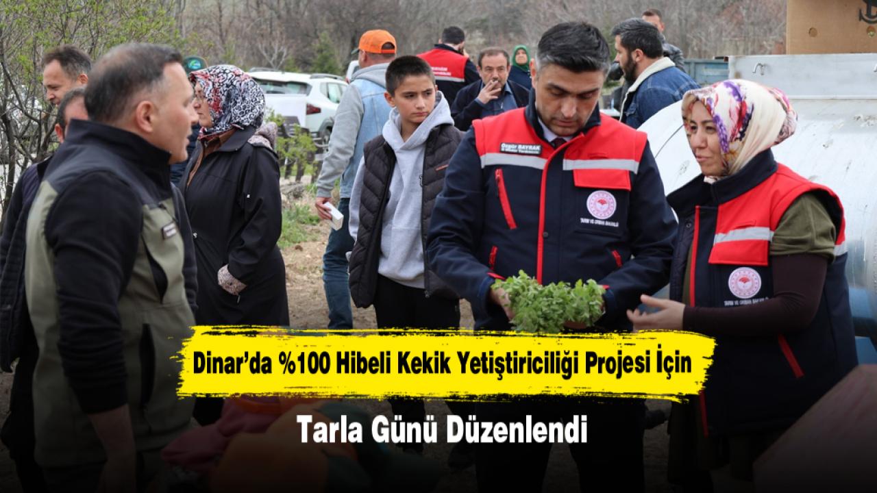 Dinar’da %100 Hibeli Kekik Yetiştiriciliği Projesi İçin Tarla Günü Düzenlendi