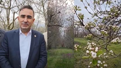 “Kirazın Başkenti Sultandağı’nda Rekor Rekolte Bekliyoruz”