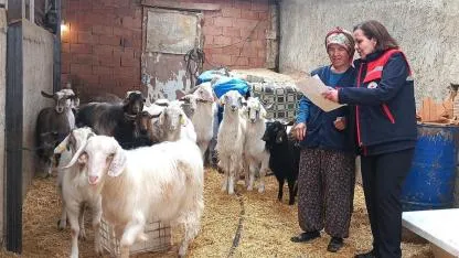 Afyonkarahisar’da Hayvancılık İşletmelerine Yerinde Denetim ve Bilgilendirme