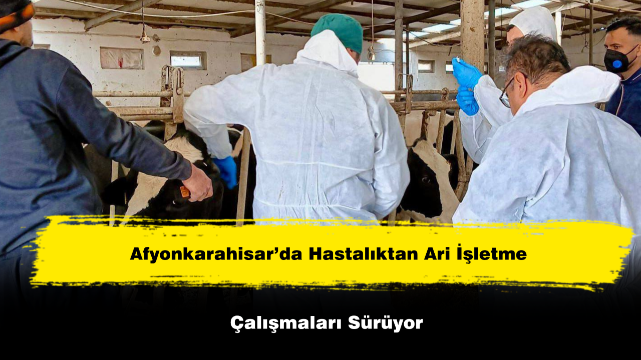 Afyonkarahisar’da Hastalıktan Ari İşletme Çalışmaları Sürüyor