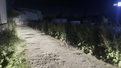 Bursa’da Husumet Kanlı Bitti: Avukat Öldü, Kardeşi Yaralı