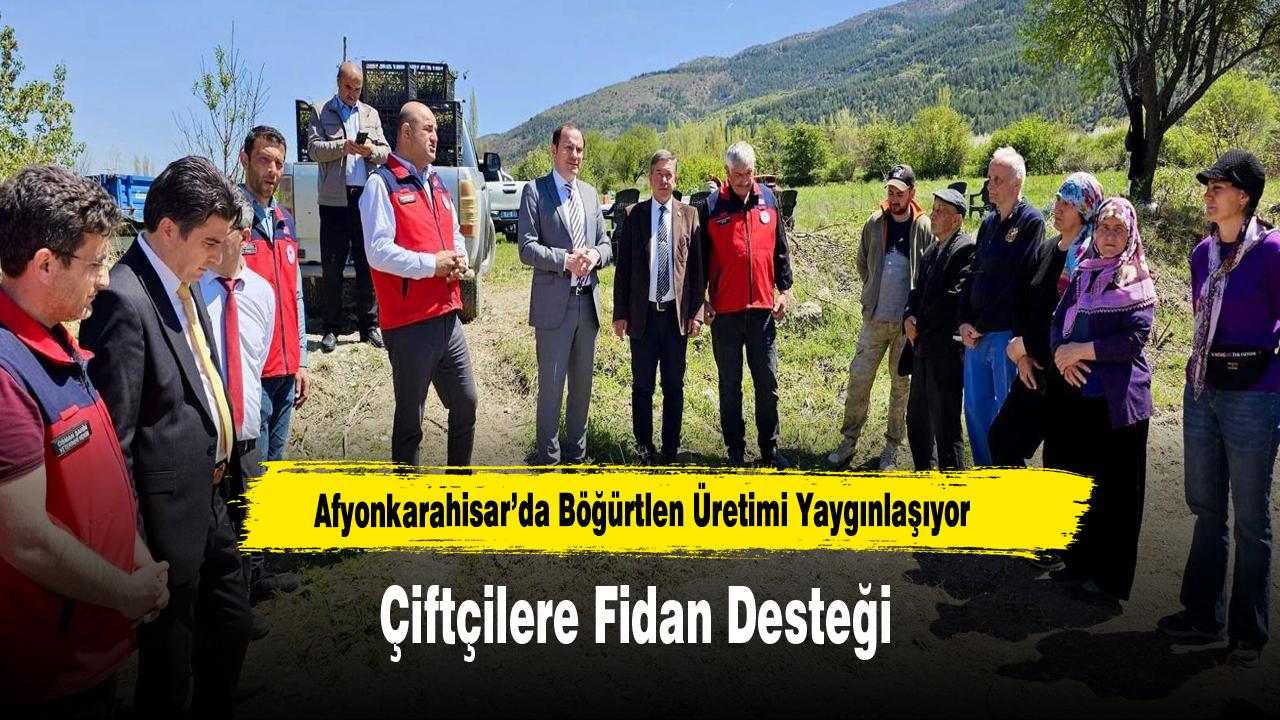 Afyonkarahisar’da Böğürtlen Üretimi Yaygınlaşıyor: Çiftçilere Fidan Desteği
