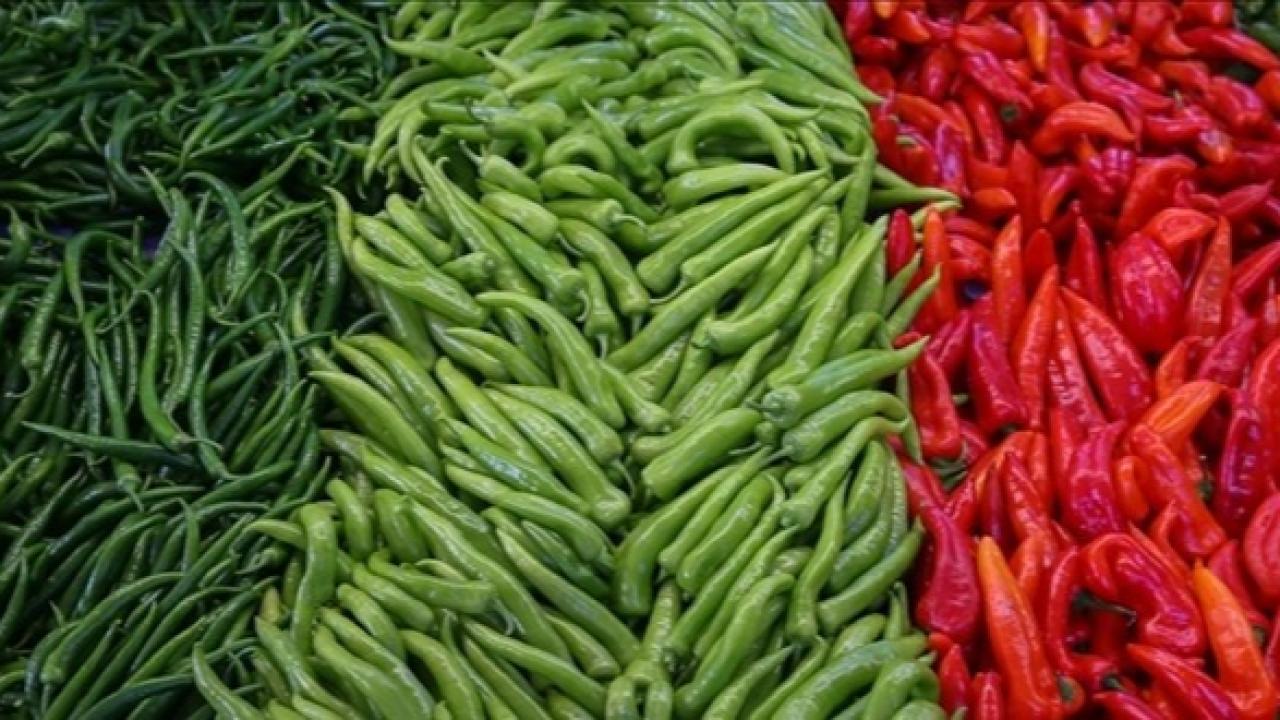 Ankara Sincan’da Aile Faciası: Emekli Uzman Çavuş Eşi ve Kızını Öldürüp İntihar Etti