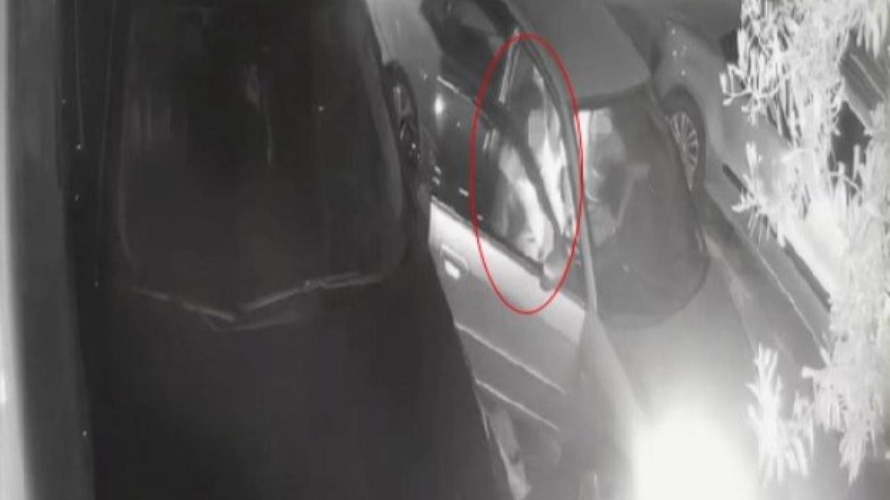 Yanında Bulunan Kadını Araçtan Dışarı Attı!