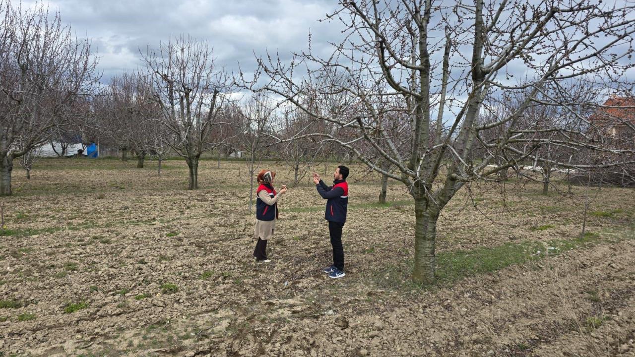 Zirai Don Riskine Karşı Meyve Bahçelerinde Denetimler Sürüyor