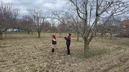 Zirai Don Riskine Karşı Meyve Bahçelerinde Denetimler Sürüyor