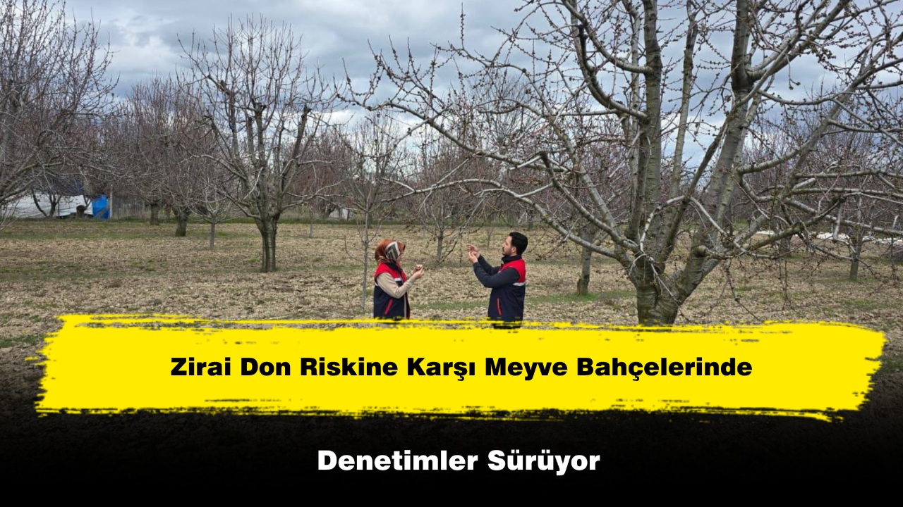 Zirai Don Riskine Karşı Meyve Bahçelerinde Denetimler Sürüyor