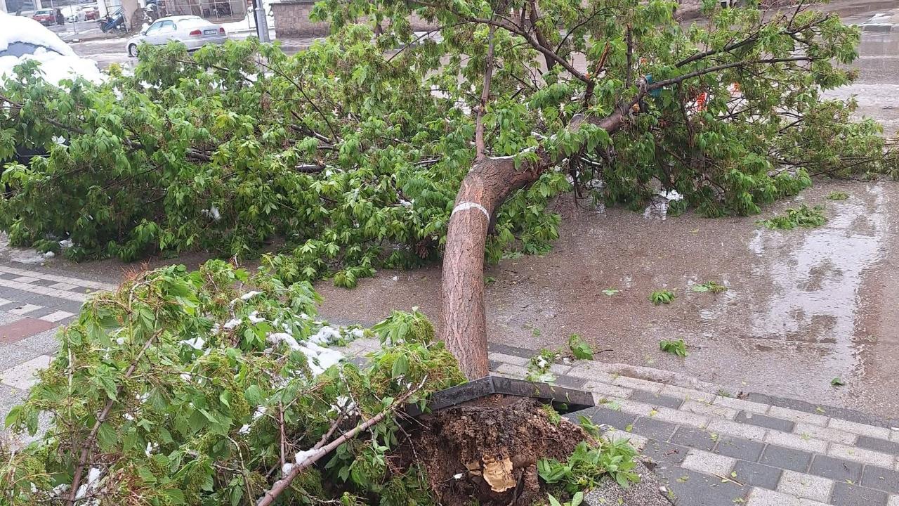 Afyonkarahisar Sandıklı’da Beklenmedik Kar Yağışı: Ağaçlar Devrildi, Yollar Kapandı