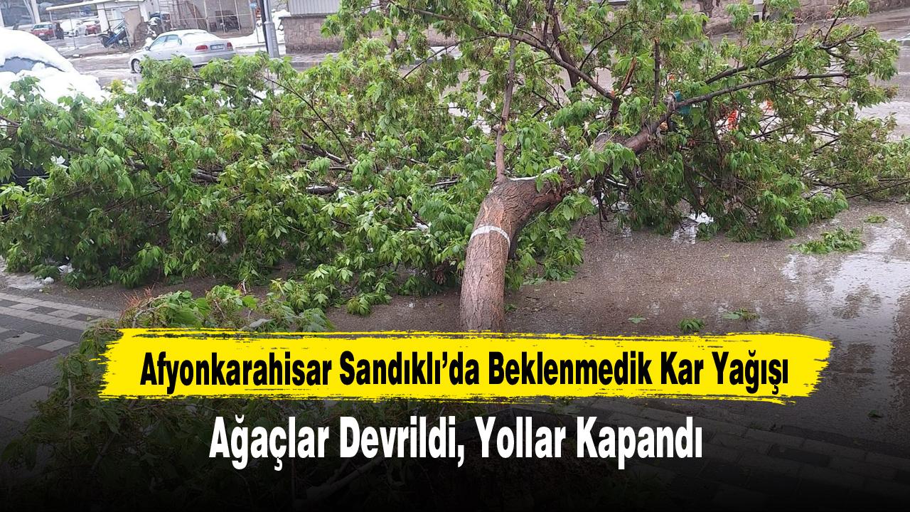 Afyonkarahisar Sandıklı’da Beklenmedik Kar Yağışı: Ağaçlar Devrildi, Yollar Kapandı