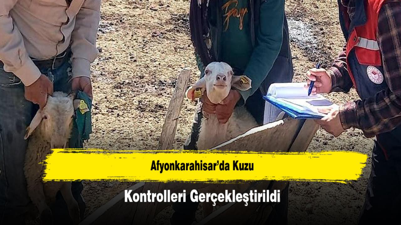Afyonkarahisar’da Kuzu Kontrolleri Gerçekleştirildi