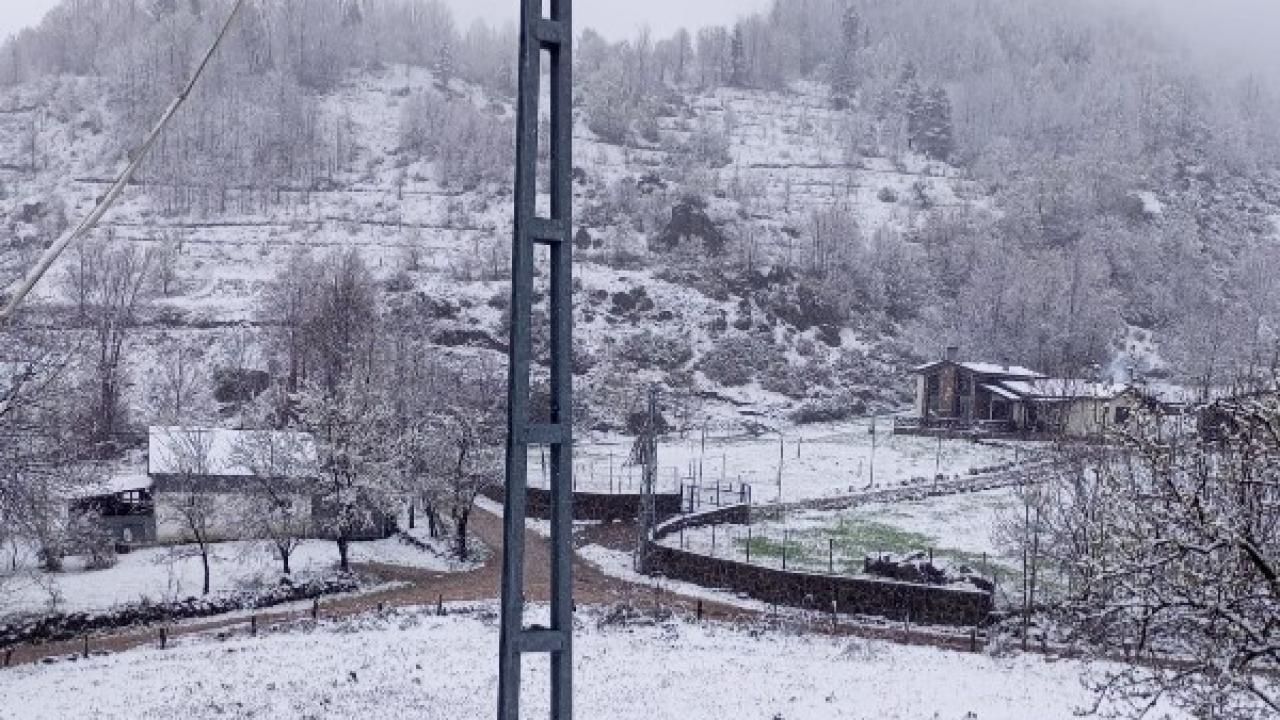 Bahar Beklenirken Kış Geri Geldi