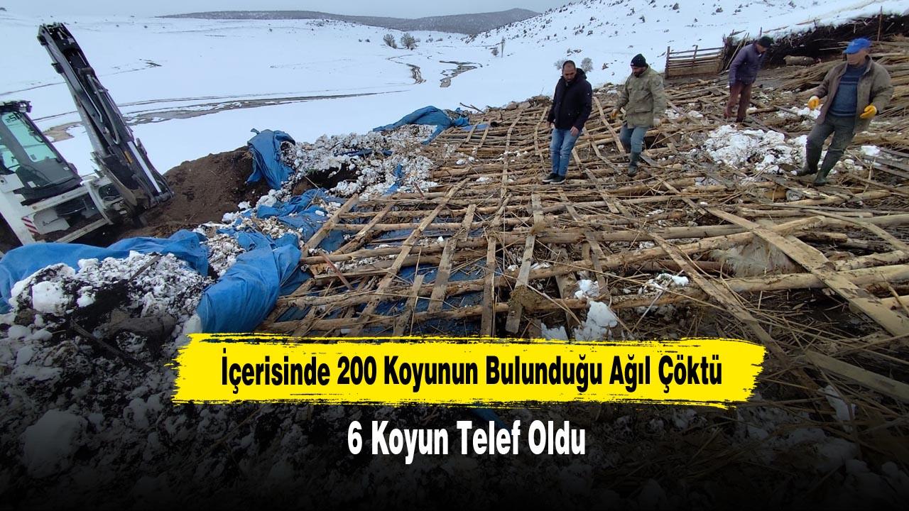 İçerisinde 200 Koyunun Bulunduğu Ağıl Çöktü