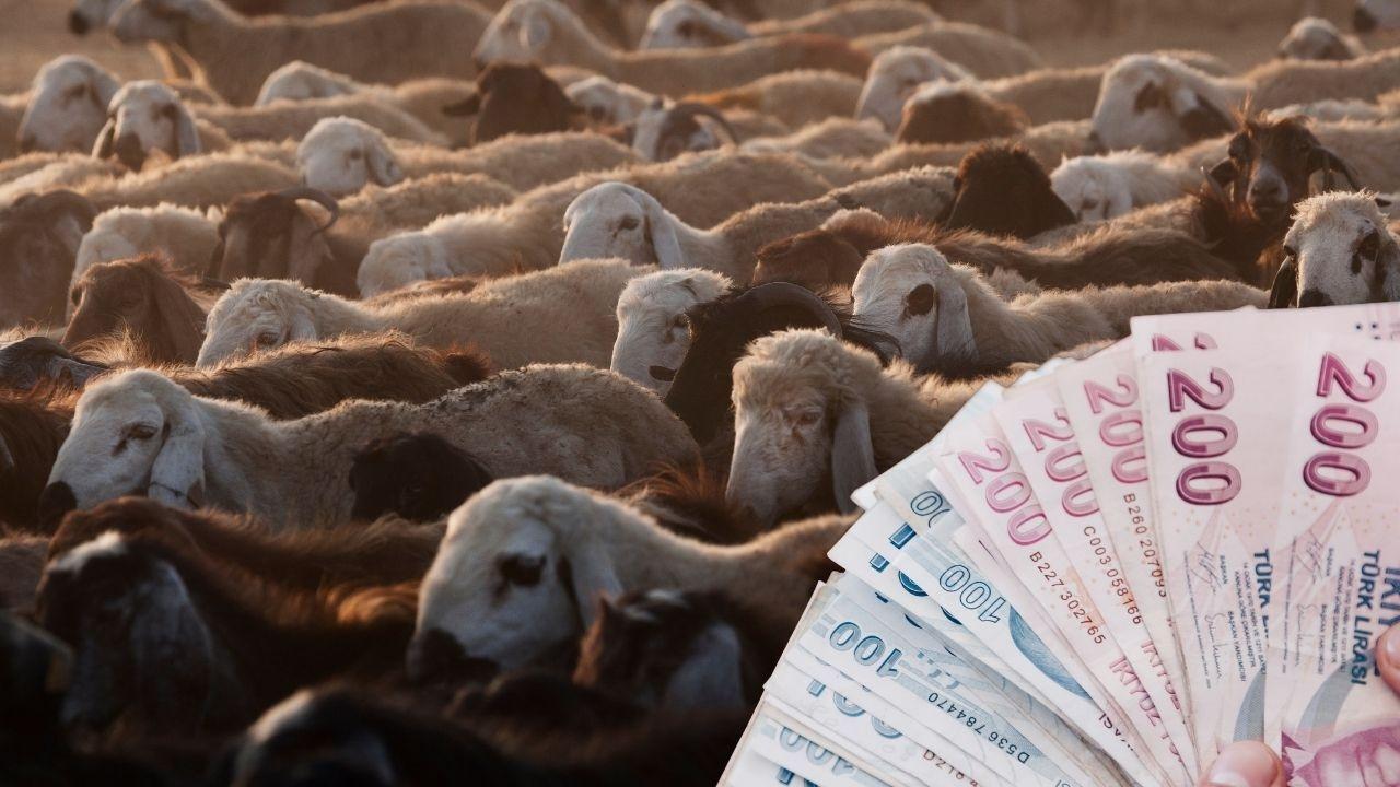 Kurban Bayramı Emekli İkramiyesi 2026 İçin Gözler SGK’da: Ödemeler Ne Zaman Yapılacak, Zam Var Mı?