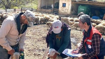 Afyonkarahisar’da Kuzu Kontrolleri Gerçekleştirildi