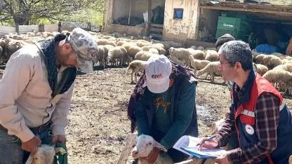 Afyonkarahisar’da Kuzu Kontrolleri Gerçekleştirildi