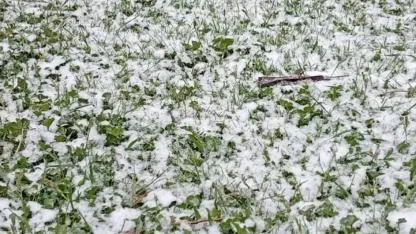 Afyon’da Mayıs Ayında Kar Sürprizi! Bahar Beklenirken Kış Döndü