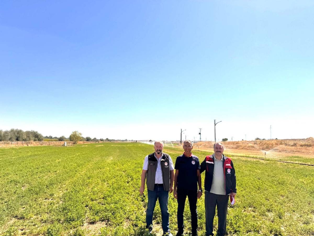 Afyonkarahisar’da Yem Bitkisi Denetimleri Aralıksız Sürüyor
