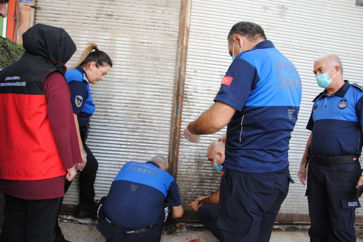 Şanlıurfa’da 1 Ton Bozuk Et Ele Geçirildi