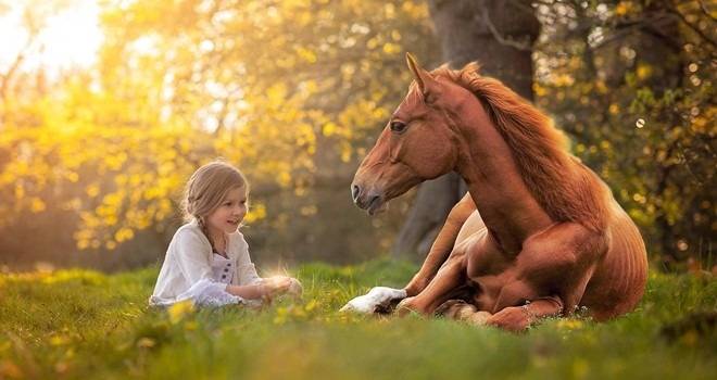 Atlar İnsana İyi Gelir mi?
