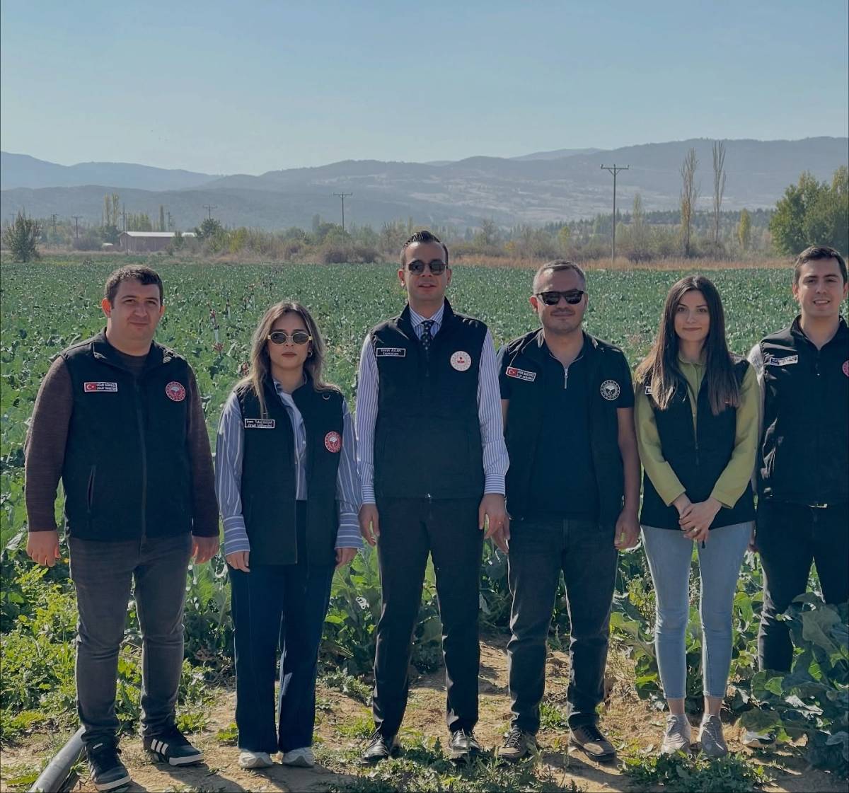 Sinanpaşa’da 431 Dekar Alanda Brokoli Hasadı Tamamlandı
