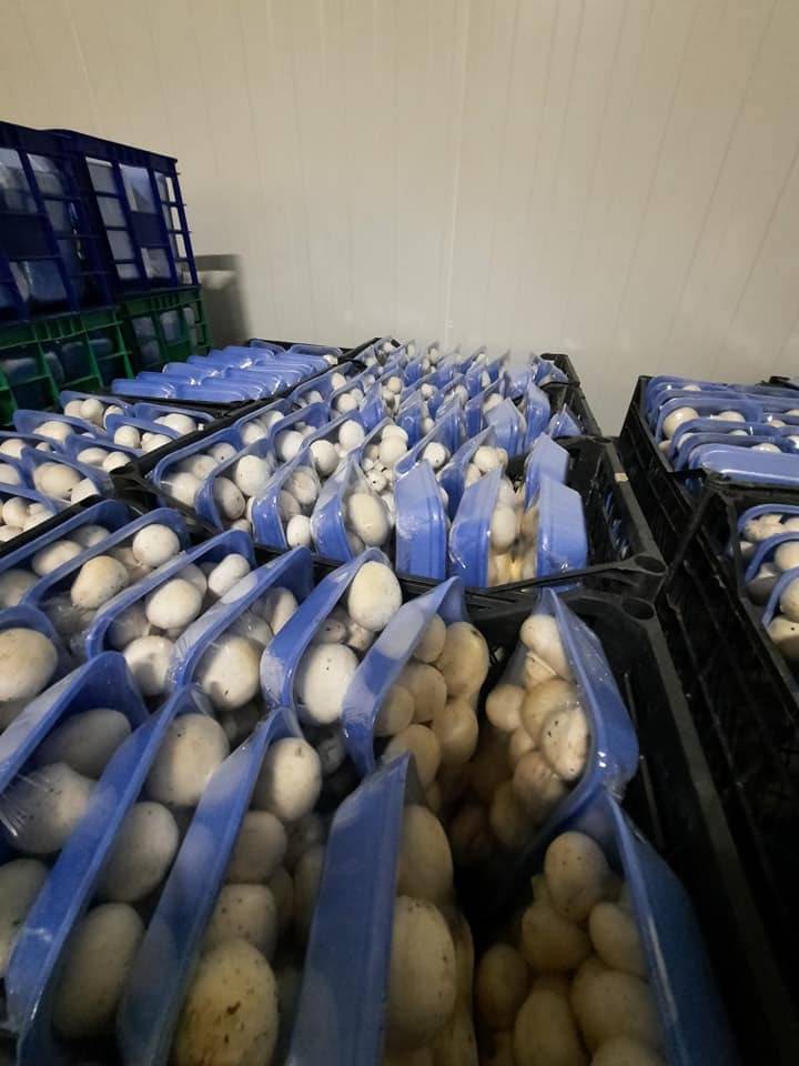 Afyonkarahisar Mis Mantar Fabrikası Çok Sayıda Personel Alınacak